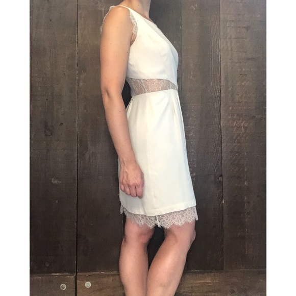 BCBG Max Azria Beige Lace Cutout Dress 0 - Picture 4 of 8